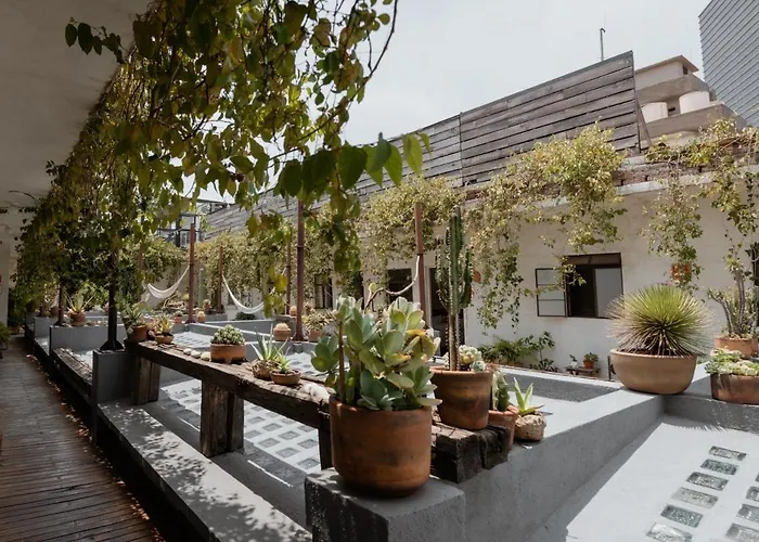 Bed and breakfast Casa Lomah Alameda
